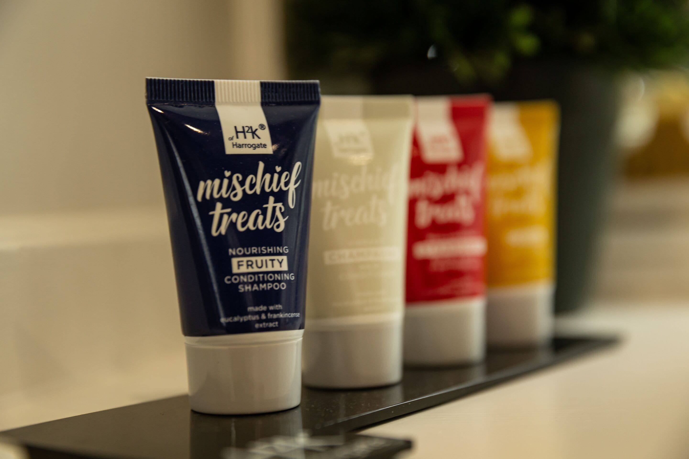 Varias líneas de productos para el cuidado del cabello en un estante.