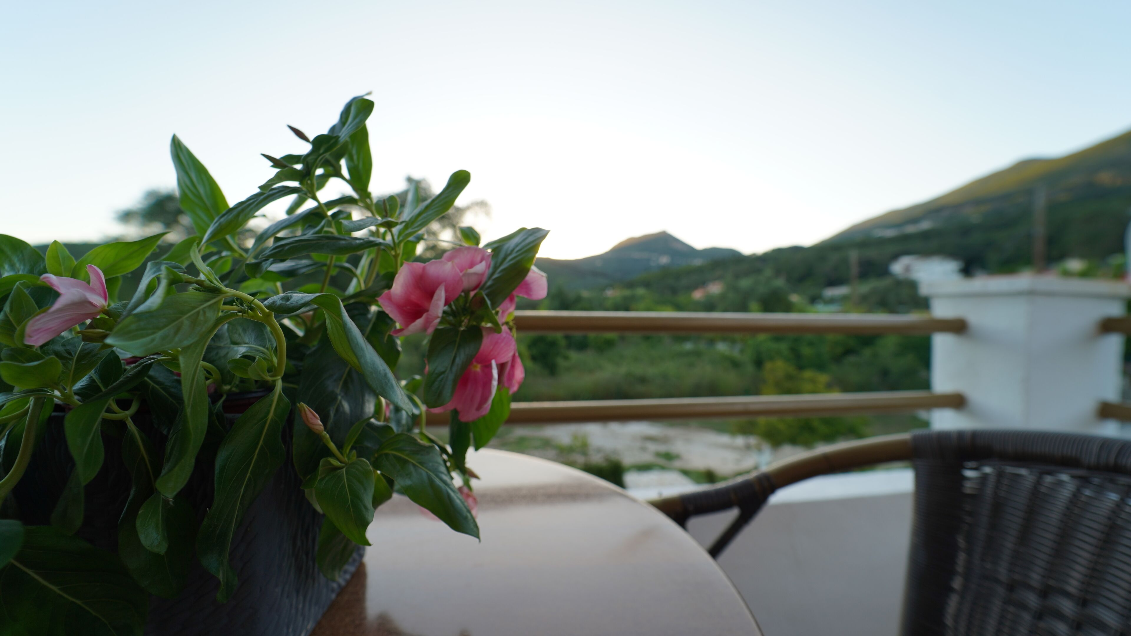 A balcony with a potted plant and a view of a mountainous landscape.