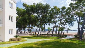 A hotel courtyard with a pathway, trees, and a view of the beach. - Caprice Playa de Alcudia Apartments (Alcúdia)