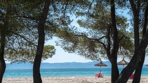 A beach with trees, a clear sky, and a calm sea. - Caprice Playa de Alcudia Apartments (Alcúdia)
