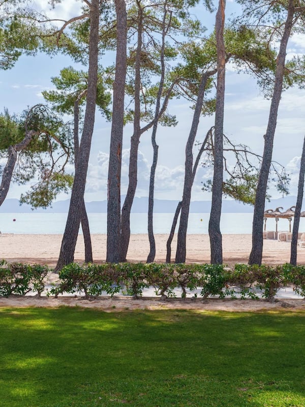 Accommodatie ligt op het strand