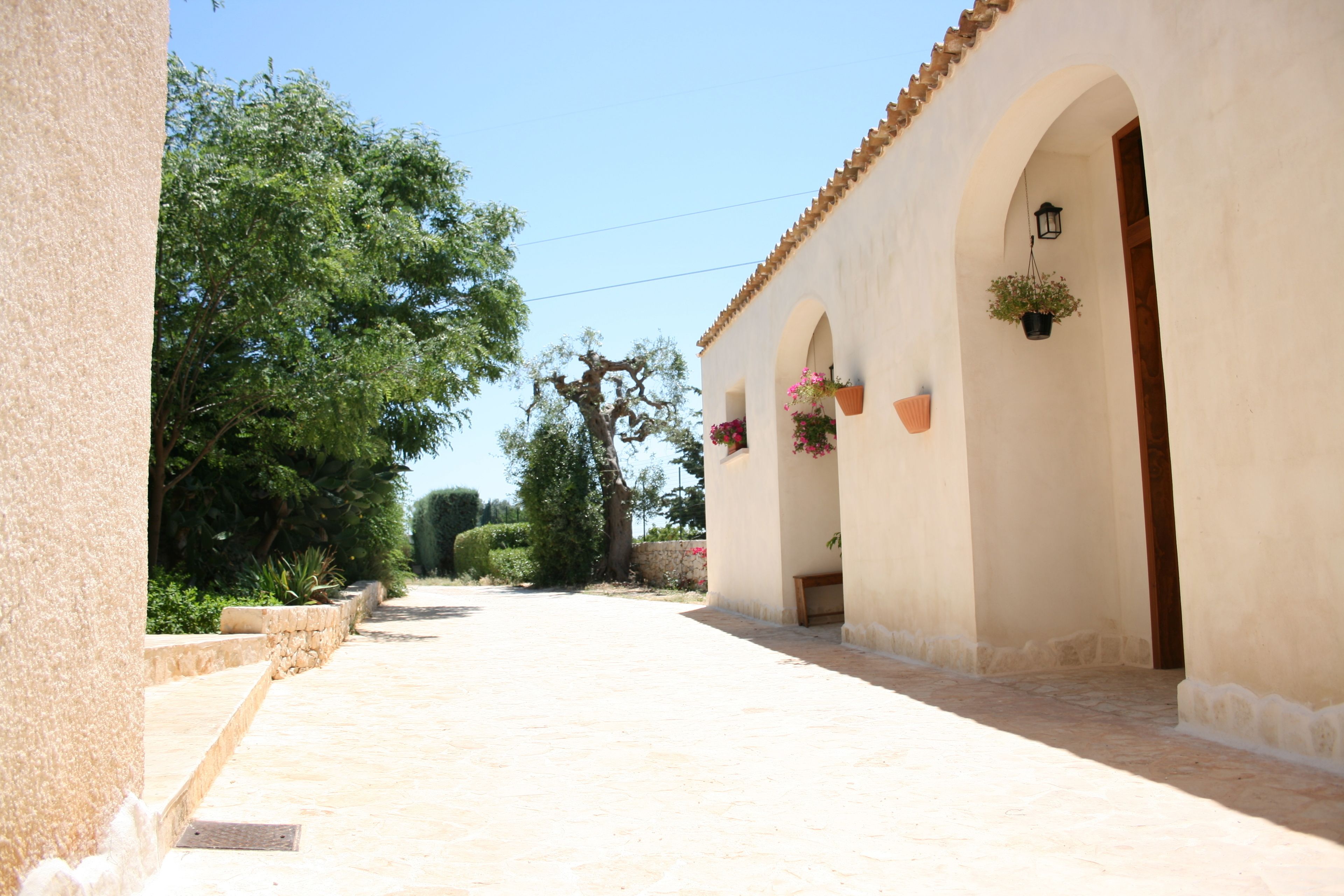 A paved courtyard with a building featuring arched doorways and hanging flower baskets.