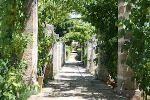 Jardín
