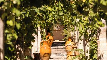 Un vialetto fiancheggiato da grandi vasi in terracotta, che conduce attraverso un arco ricoperto di viti.