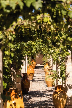 A pathway lined with large terracotta pots, leading through a vine-covered archway.