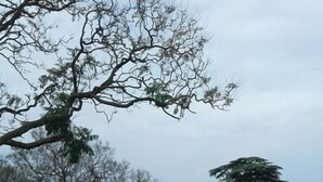 Un balcón con suelo de baldosas y barandilla.