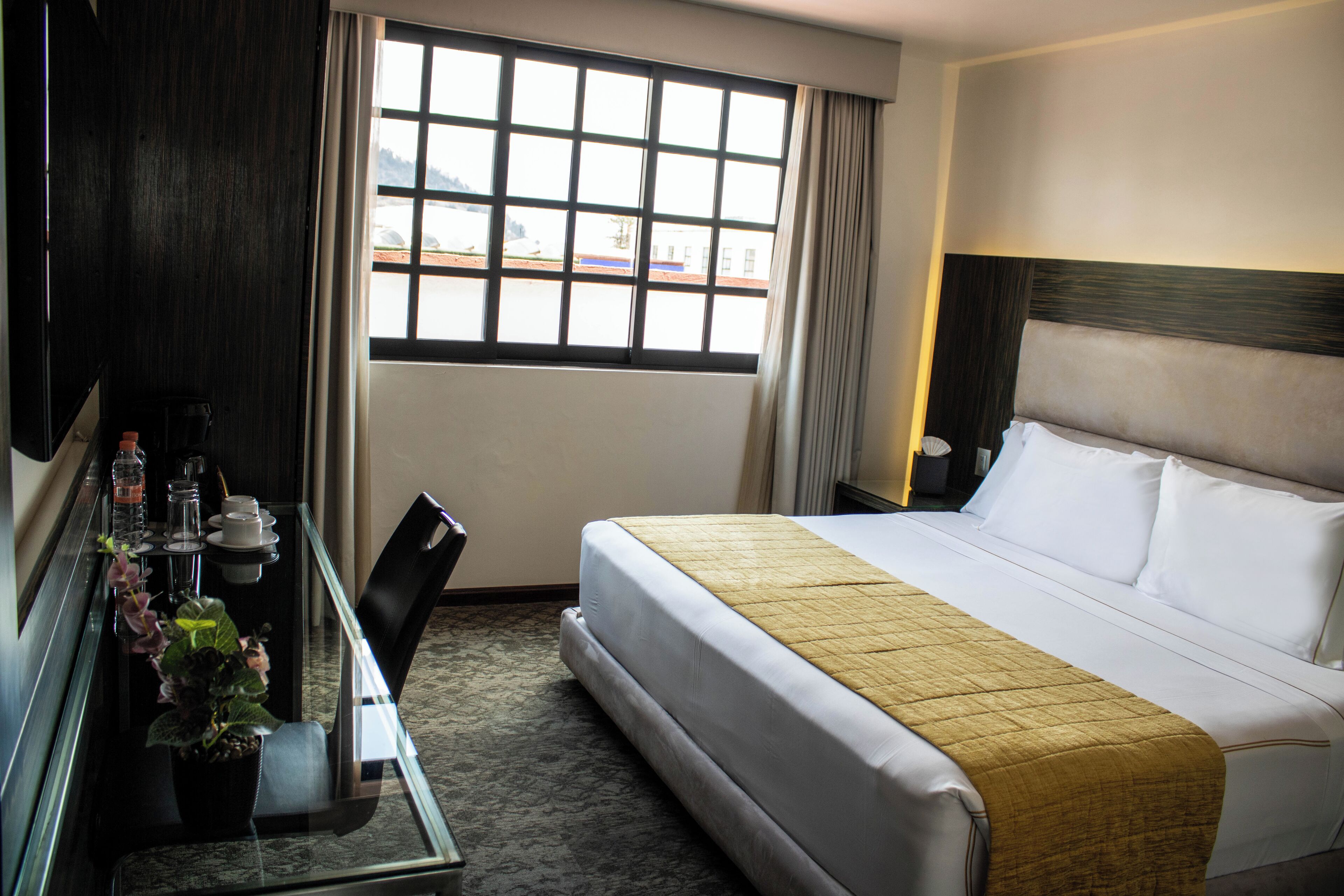 A hotel room with a bed, a desk with a chair, a potted plant, and a window with curtains.