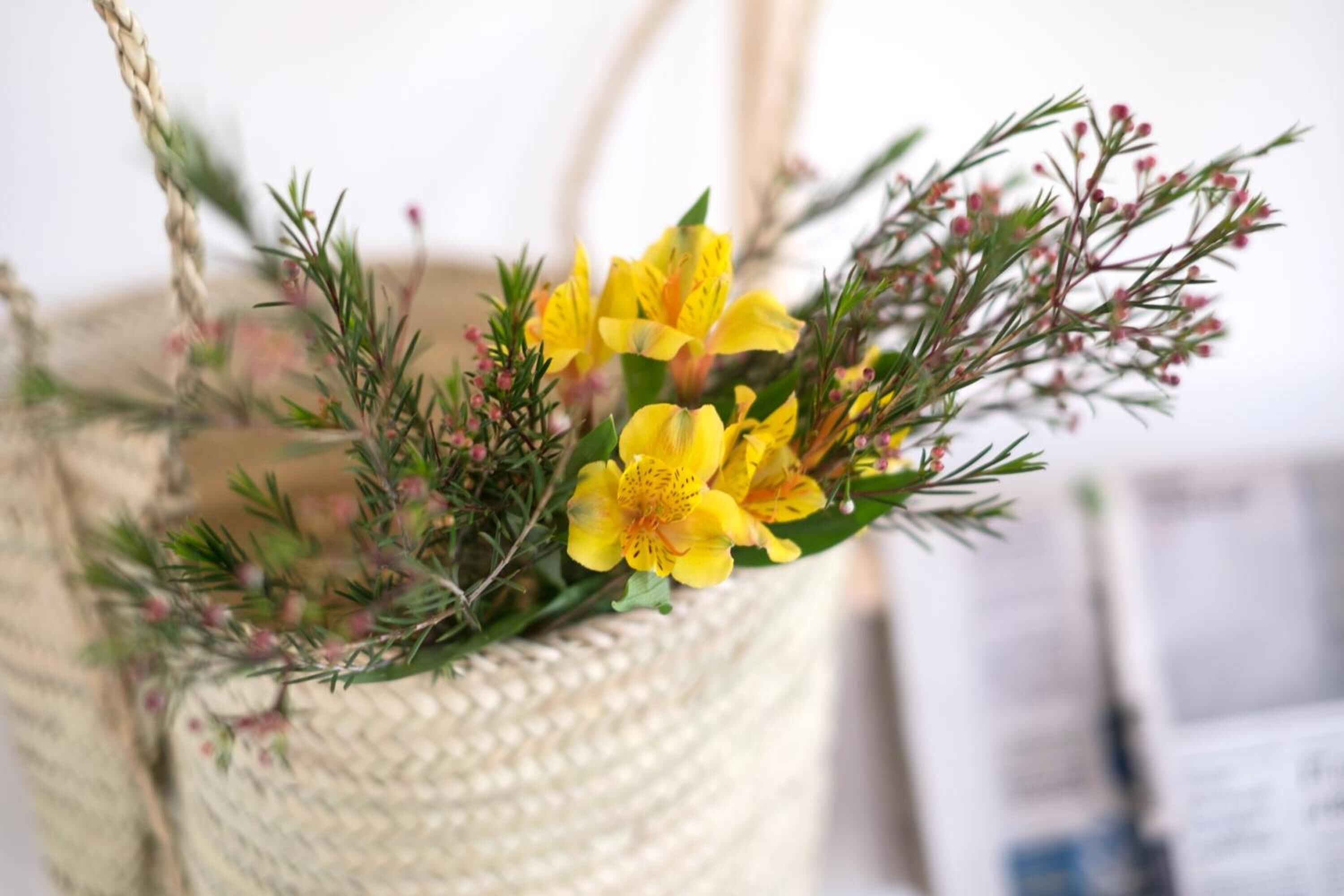 Photo - Agroturismo Ses Talaies