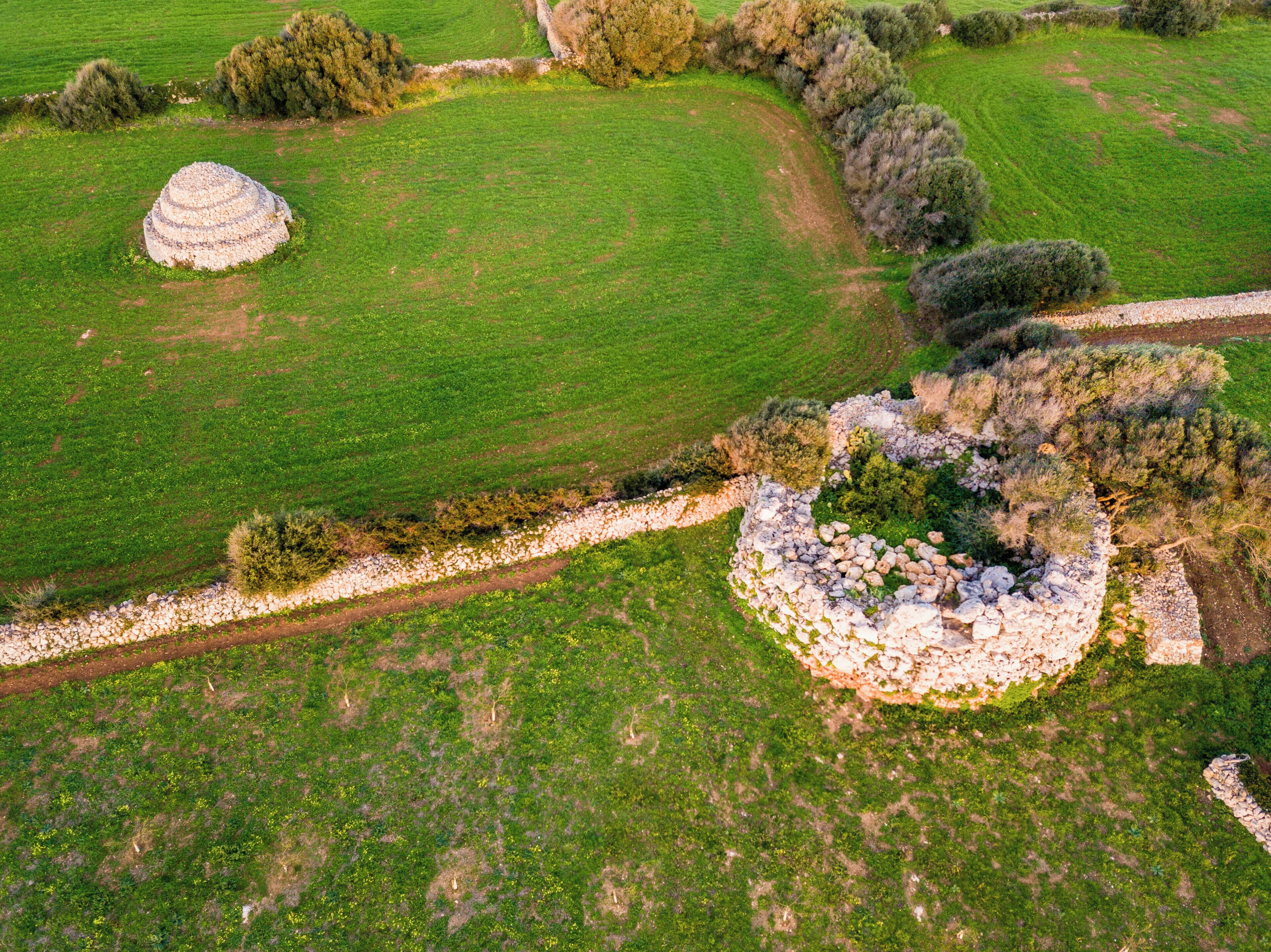 Photo - Agroturismo Ses Talaies