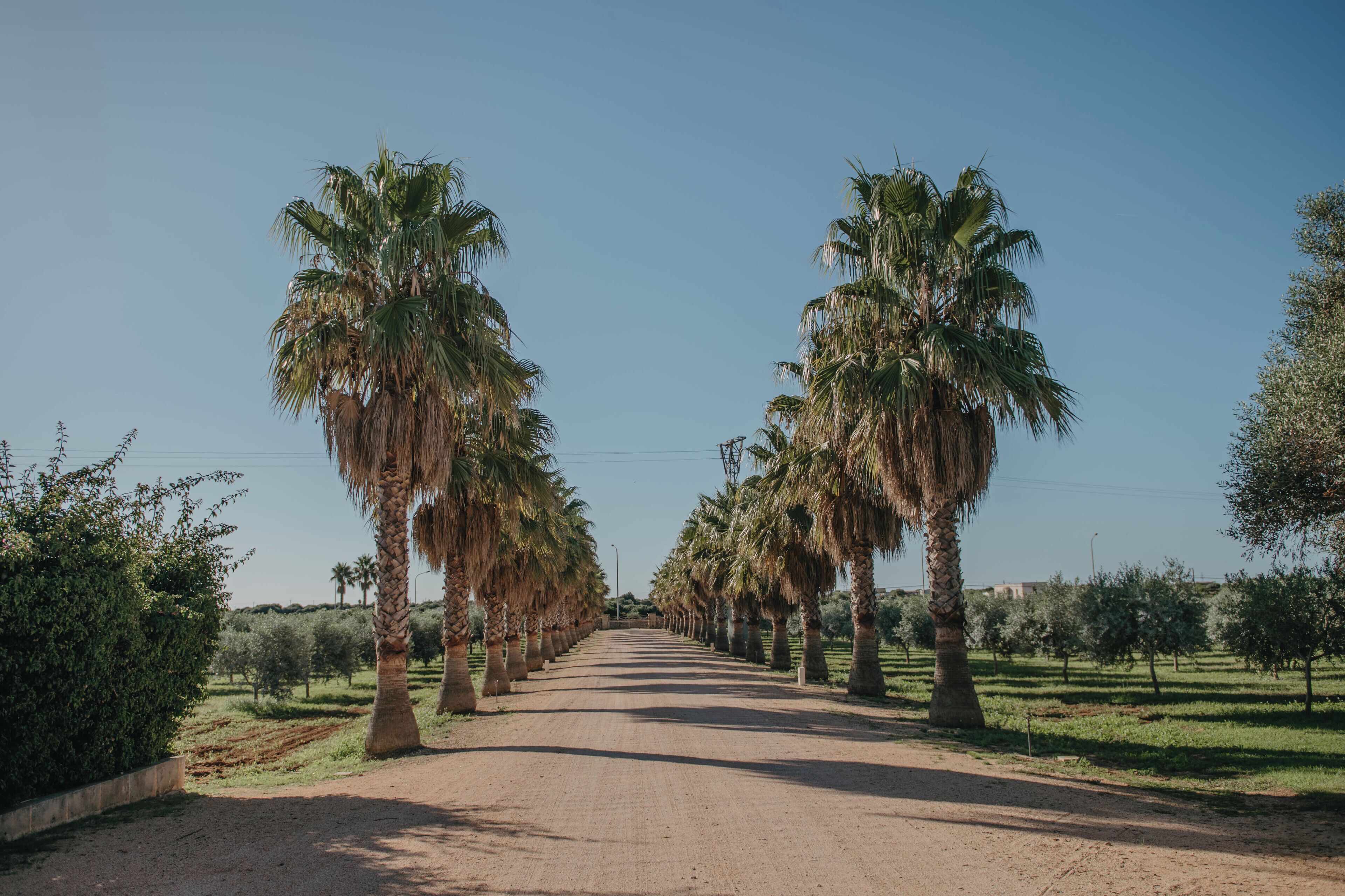 Photo - Agroturismo Ses Talaies