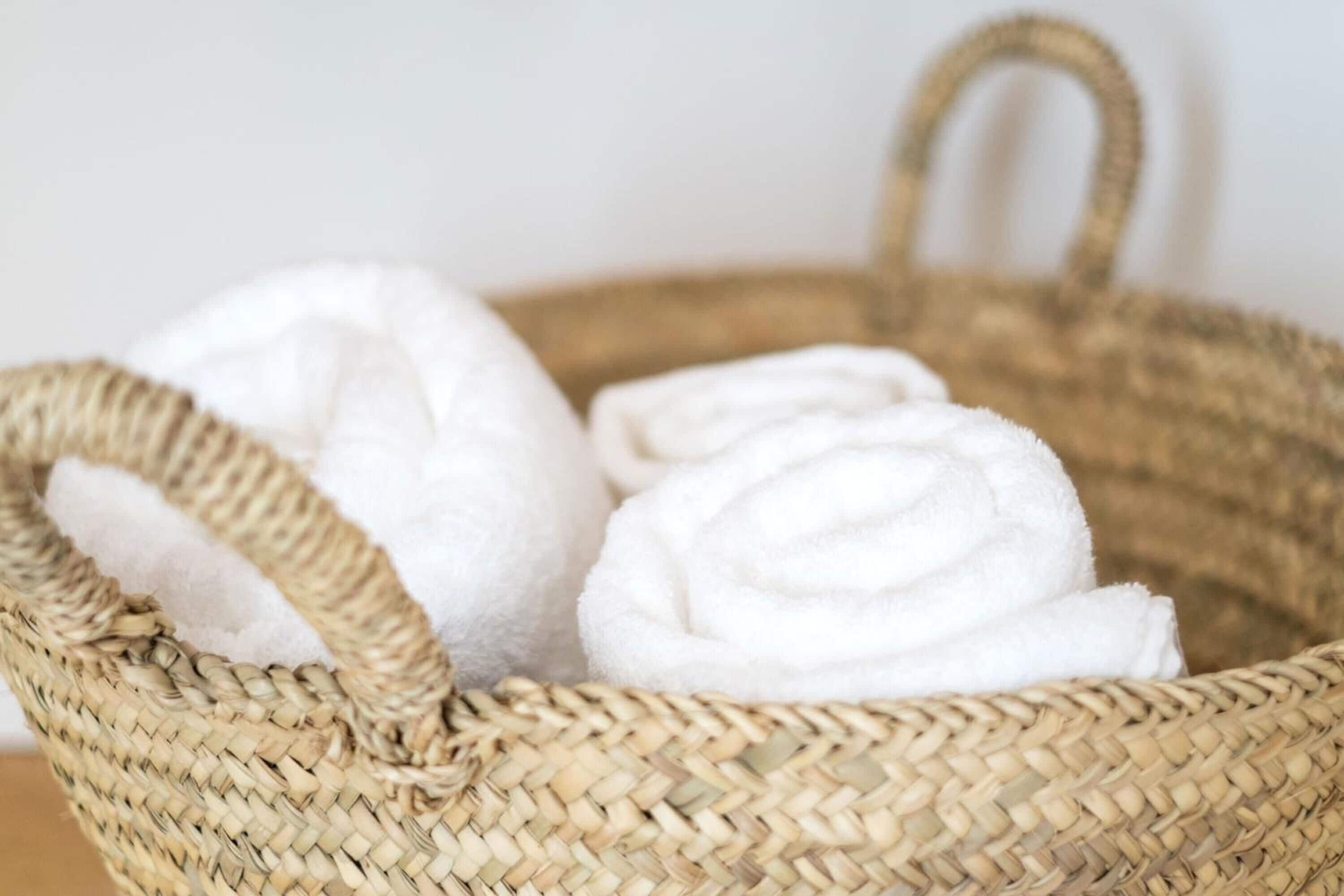 Photo - Agroturismo Ses Talaies