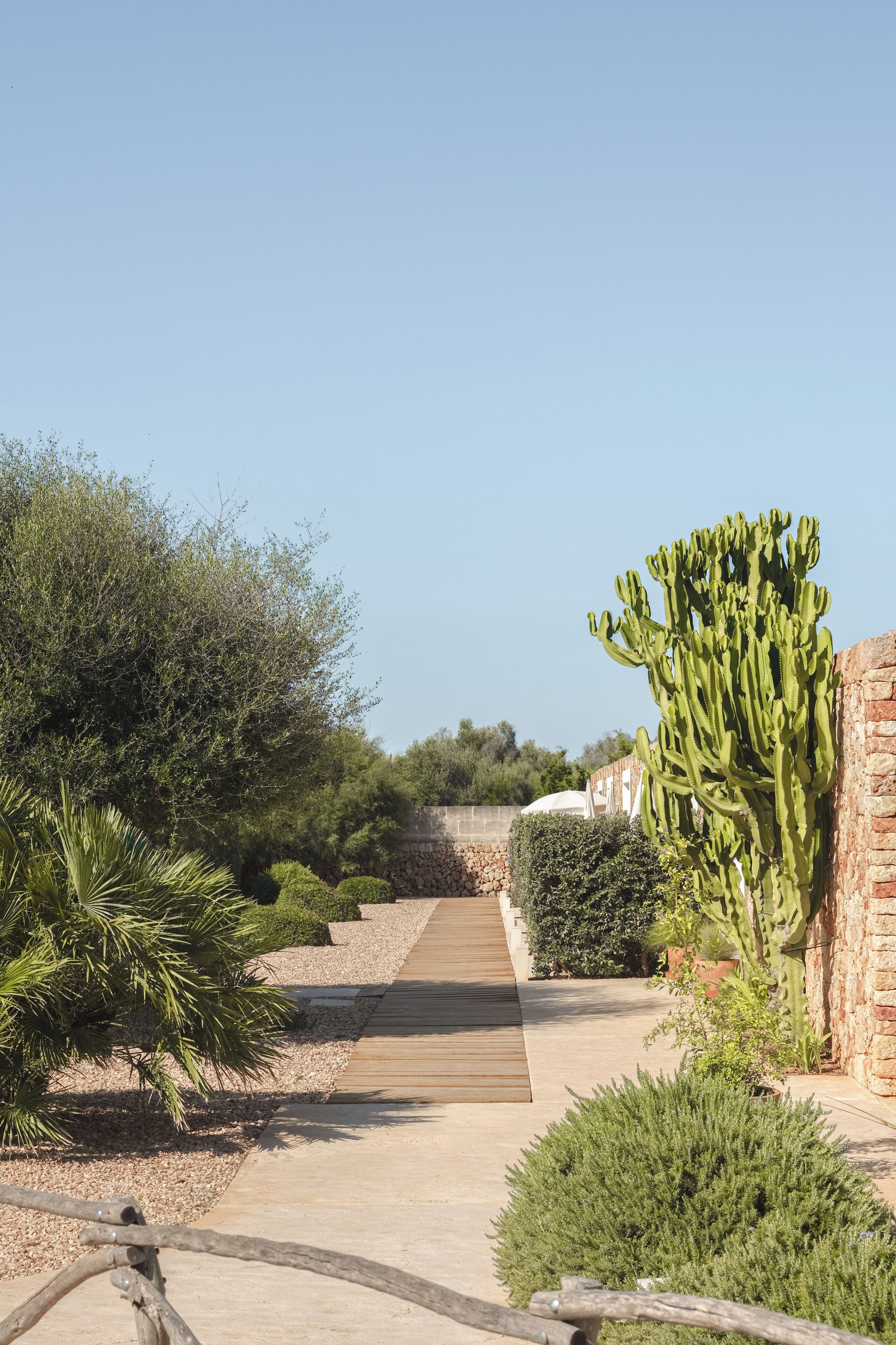 Photo - Agroturismo Ses Talaies