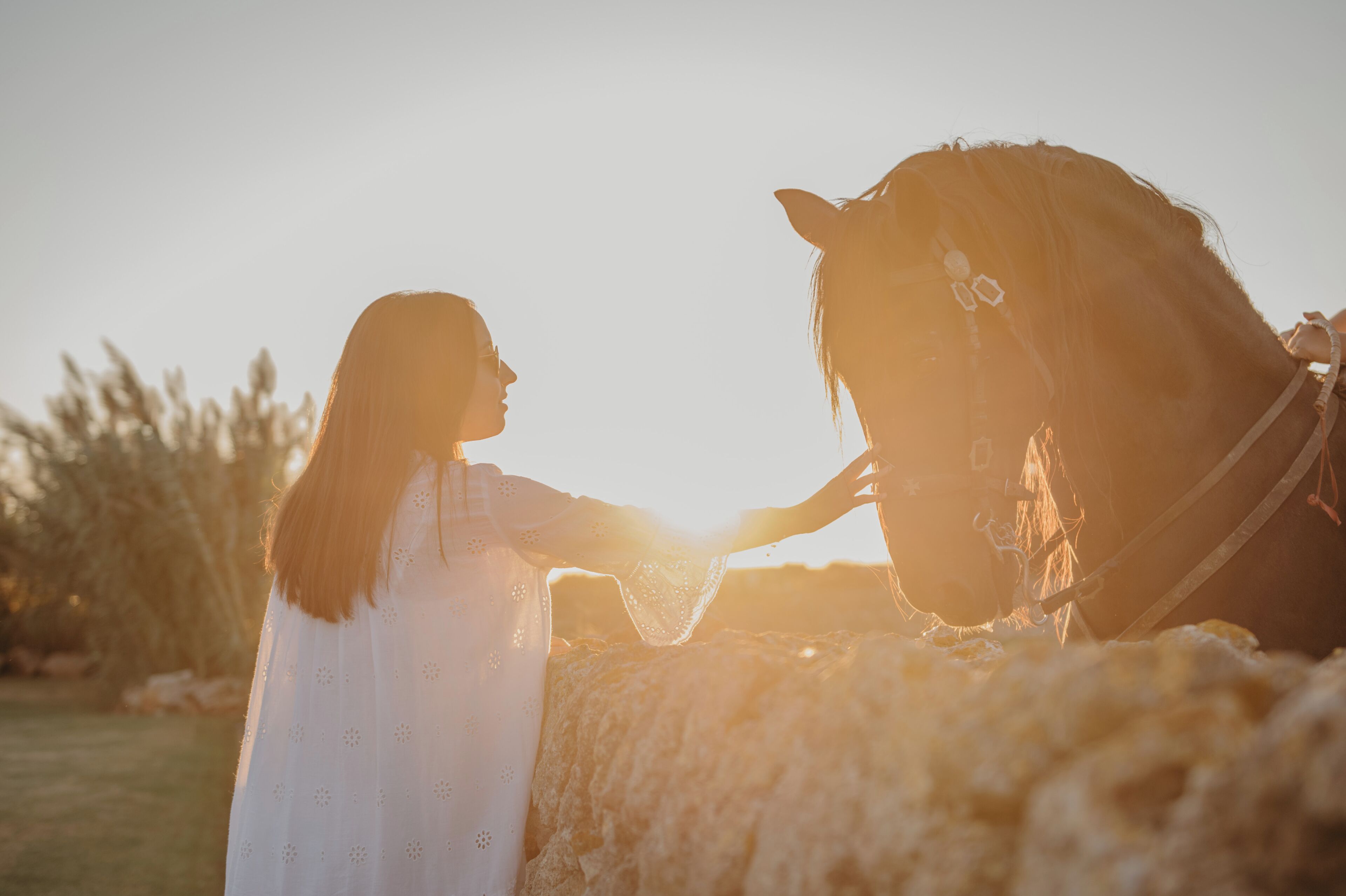Photo - Agroturismo Ses Talaies
