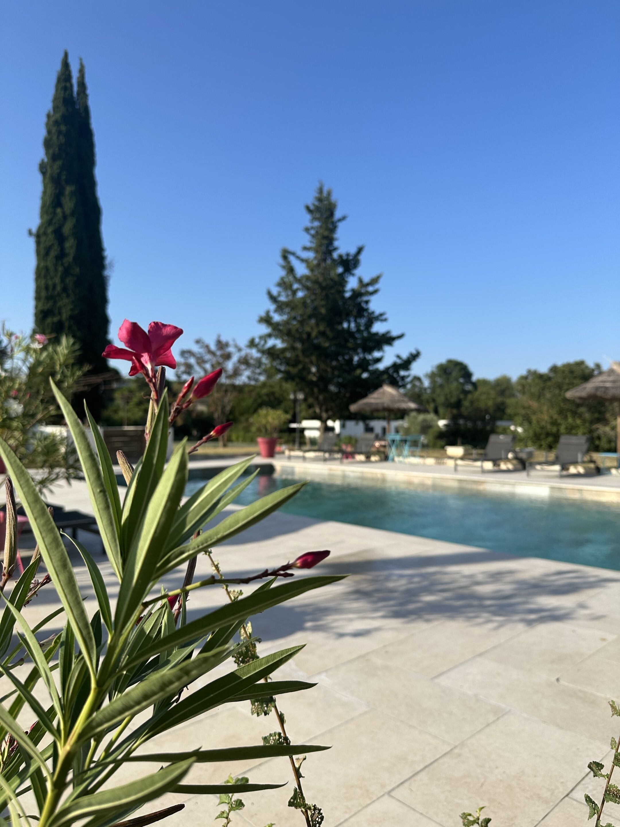 Foto - Le Moulin de Sonnailles