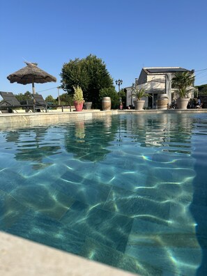 Une piscine aux eaux cristallines, entourée de chaises longues et de plantes en pot.