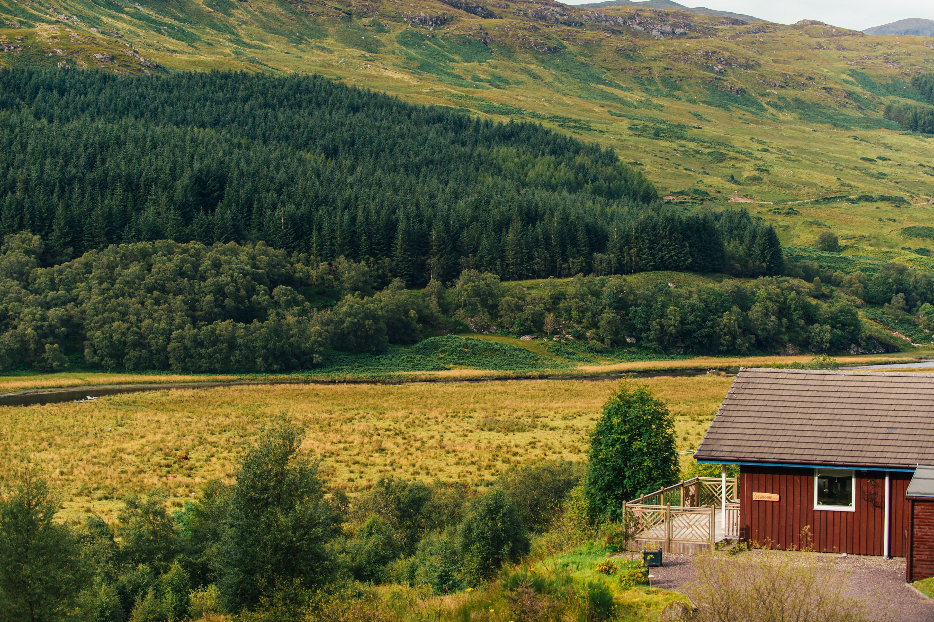 A rural landscape with a wooden cabin and a field.