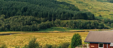 A rural landscape with a wooden cabin and a field.