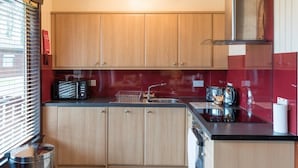 A compact kitchen with wooden cabinets, a stainless steel sink, and a red backsplash. - Birch Lodge 19 with Hot Tub (Newton Stewart)