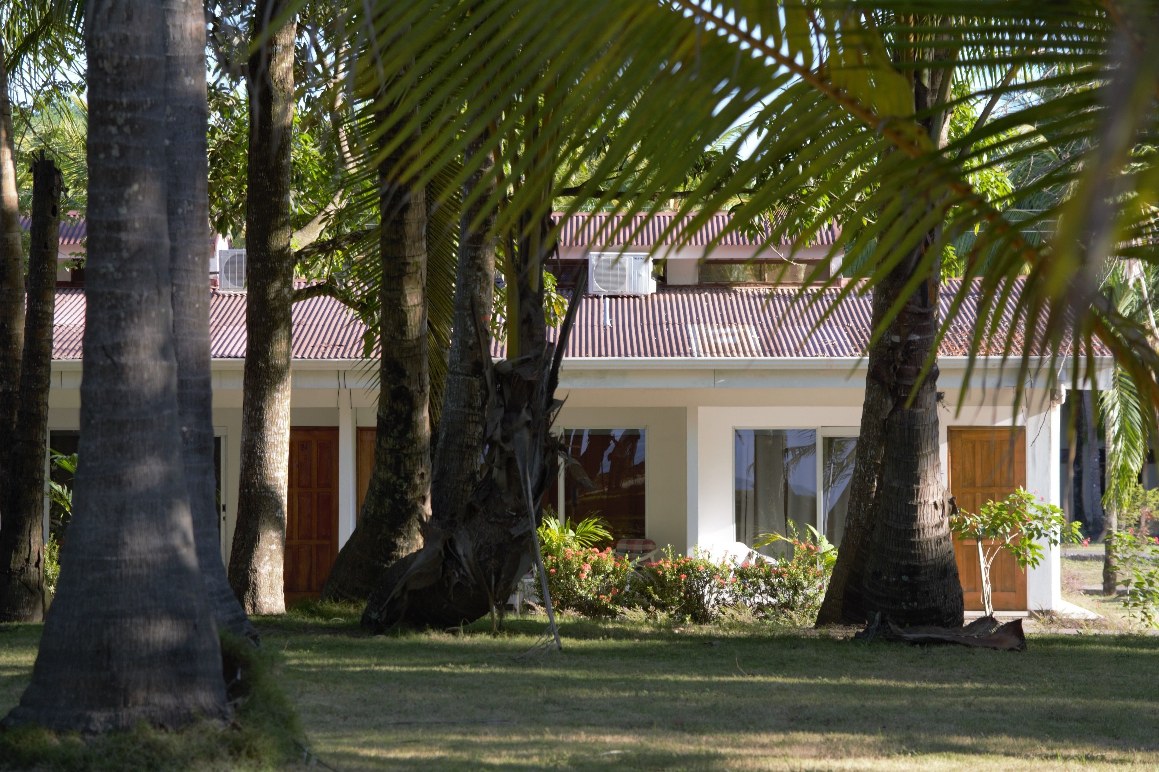 standard double room, 2 queen beds | view from room