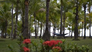A hammock between palm trees in a grassy area with red flowers in the foreground. - Hotel La Isla (Parrita)