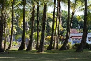 Property grounds - Hotel La Isla (Parrita)