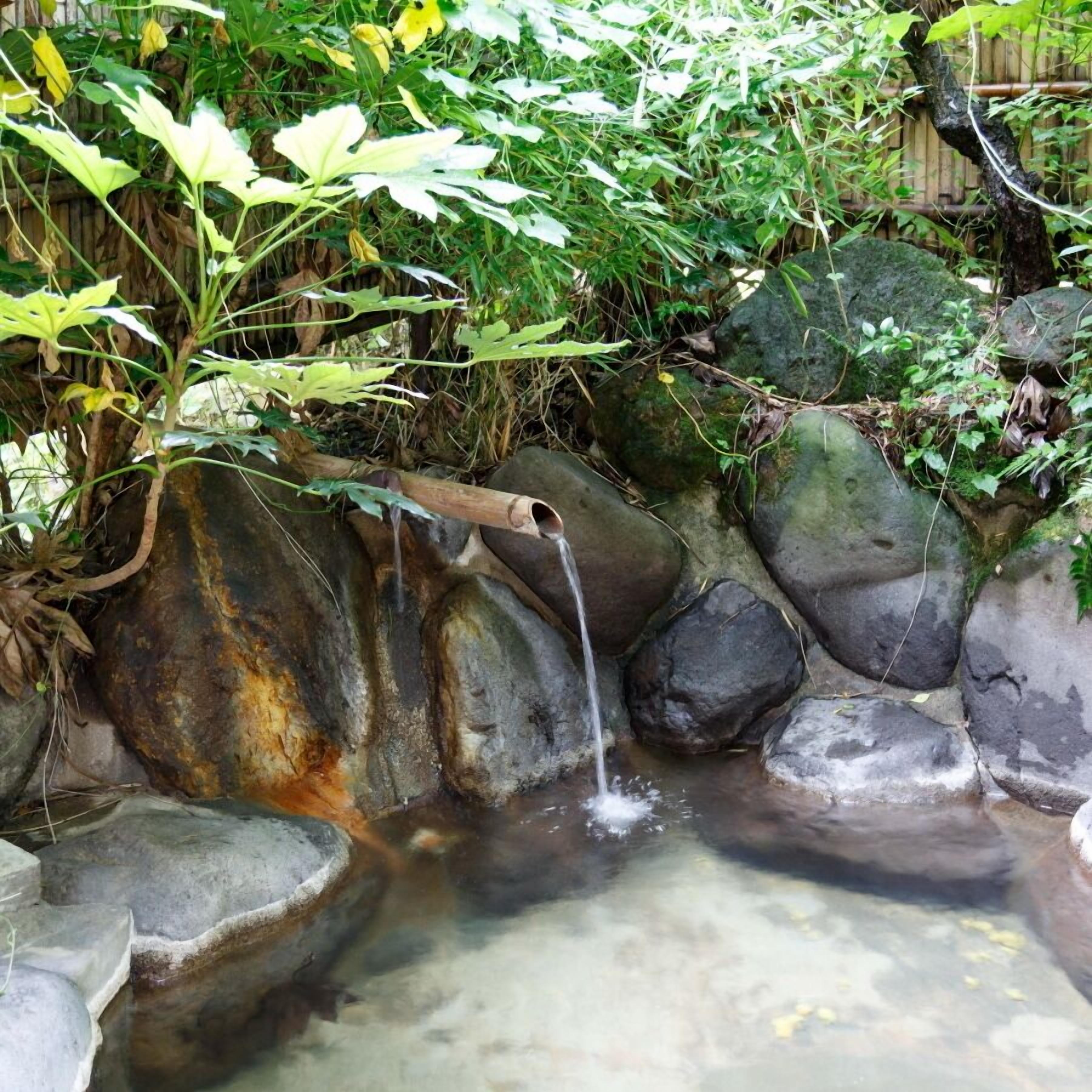 A natural water feature with a wooden spout, surrounded by rocks and greenery.