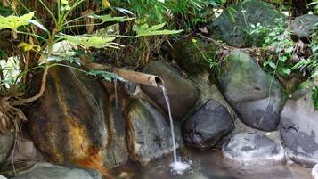 A natural water feature with a wooden spout, surrounded by rocks and greenery.