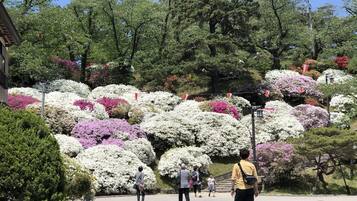 Un jardín con arbustos y árboles floreados, un sendero empedrado y algunas personas caminando.