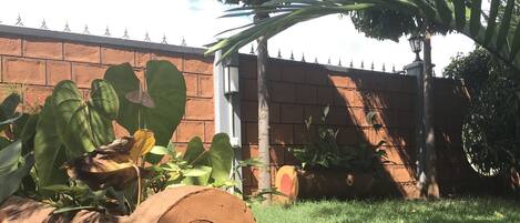 A log with a circular cutout, a brick wall, and a tree with broad leaves.