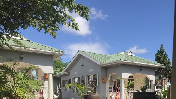 A building with a green roof and white walls, surrounded by a garden with potted plants and a large log. - Le Parlour (Boma la Ngombe)