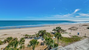 A beach with clear skies, palm trees, and a sandy shore.