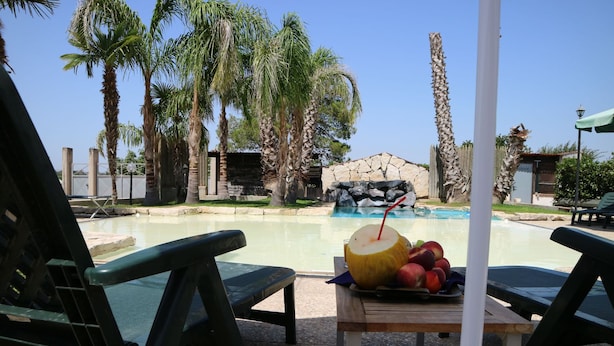 A poolside view with lounge chairs, a table with a drink and fruit, palm trees, and a stone wall in the background. - Aurelio Rapillo (Latina)