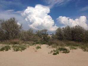Vue depuis l’hébergement
