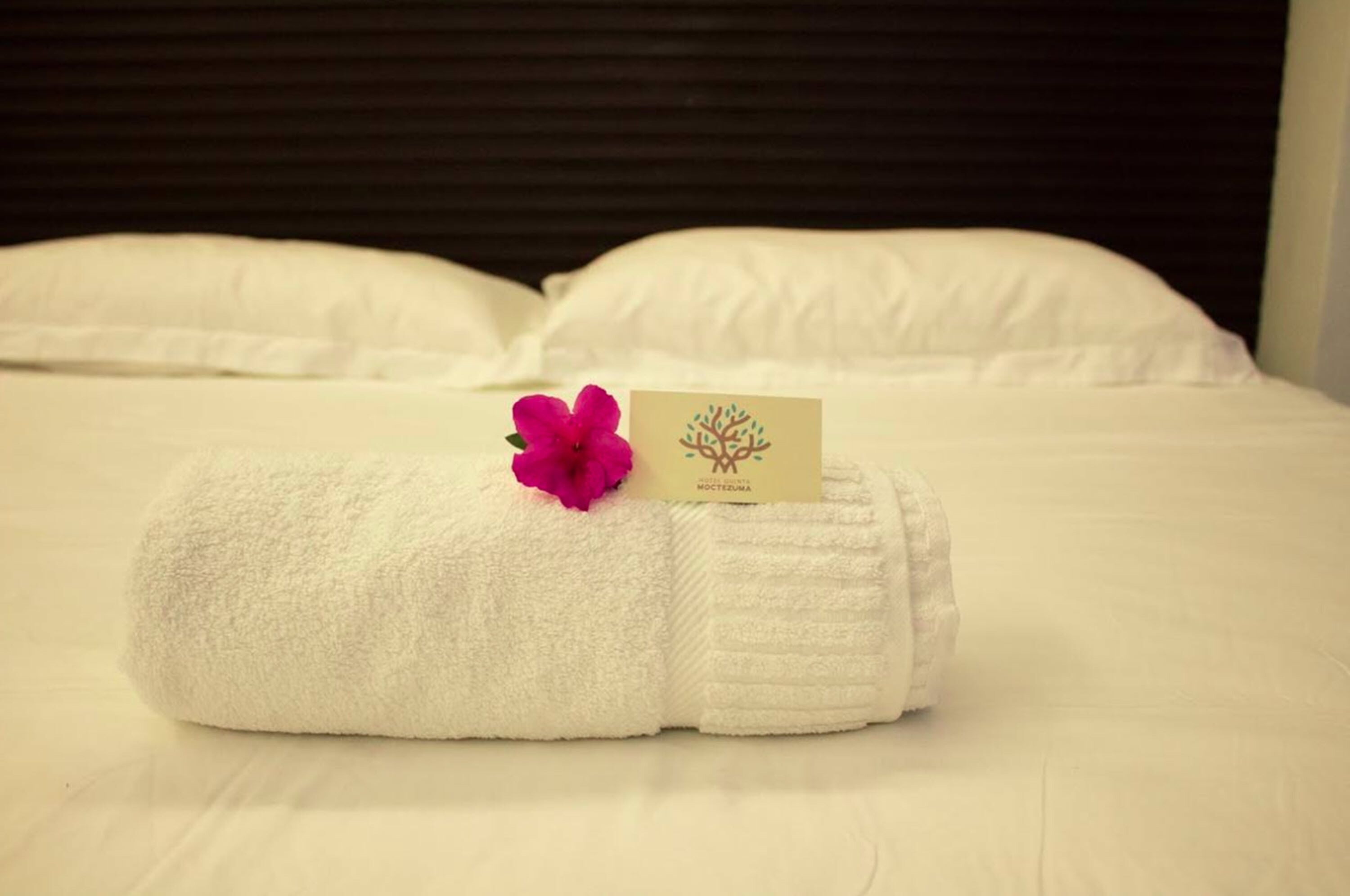 Standard dubbelrum - flera sängar - utsikt mot poolen - trädgård | Duntäcken och sängkläder