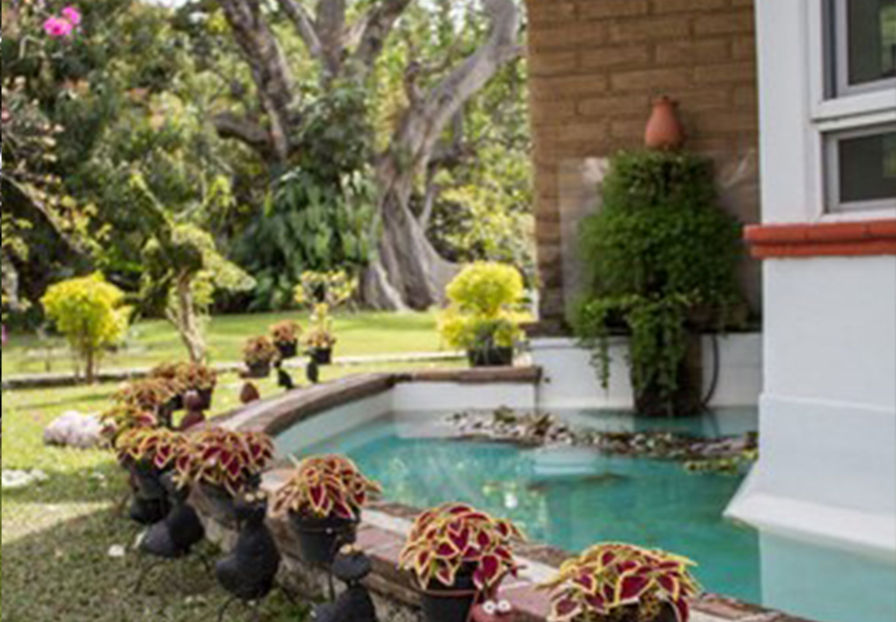 A pool area with potted plants and a brick wall.