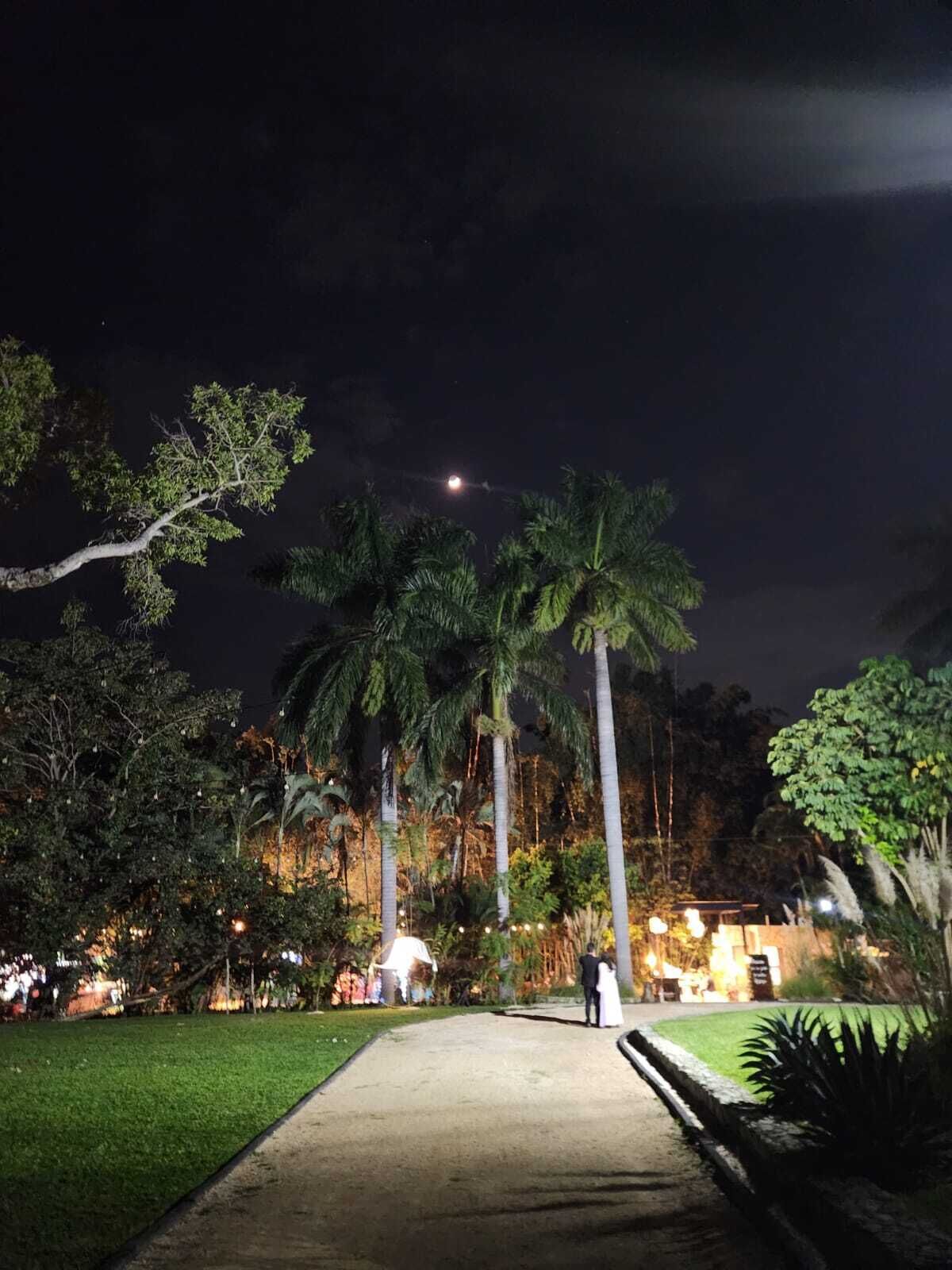 Un espacio al aire libre de noche con un camino, palmeras y un edificio al fondo.