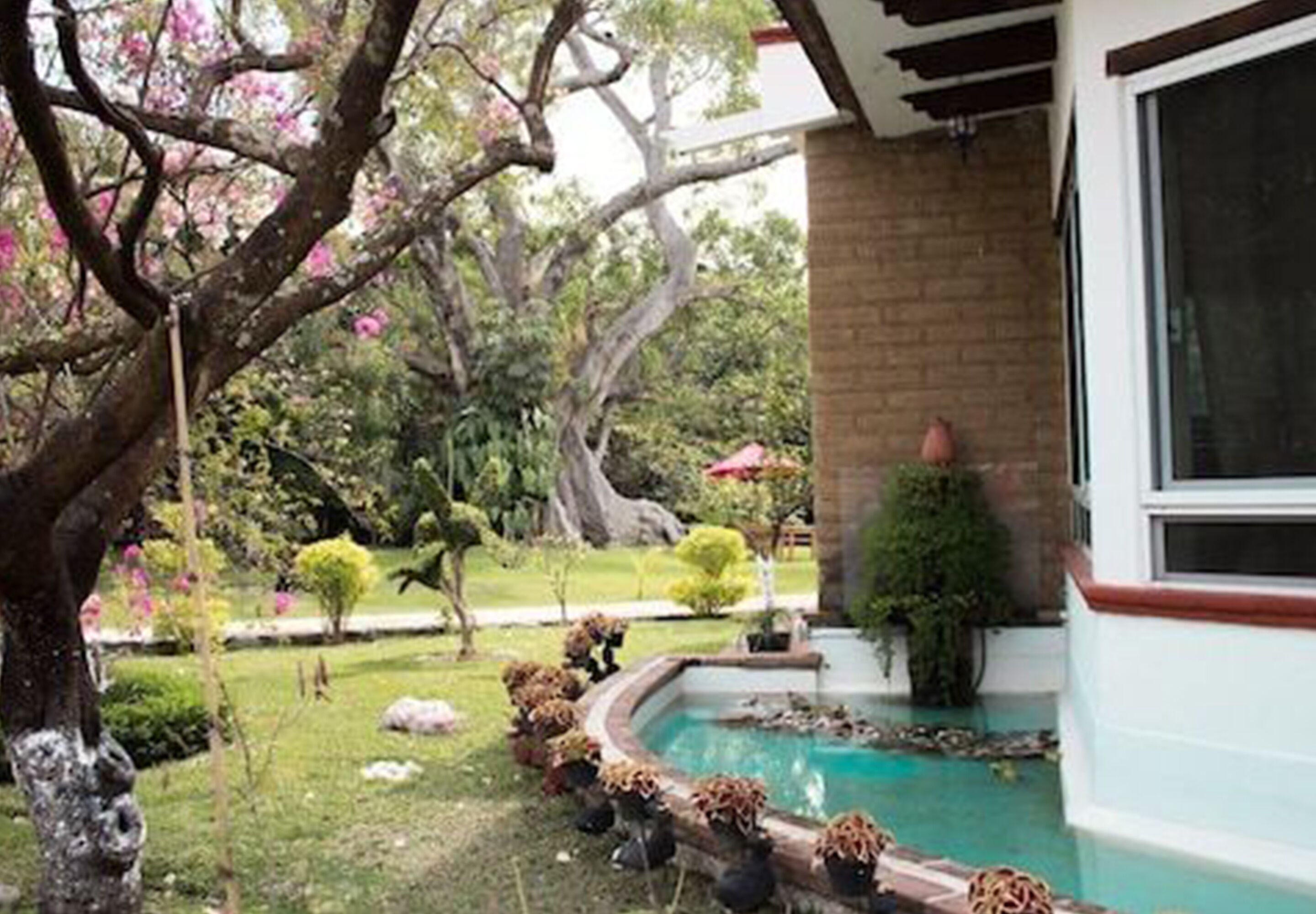 A garden with a swimming pool, a brick wall, and a large window.