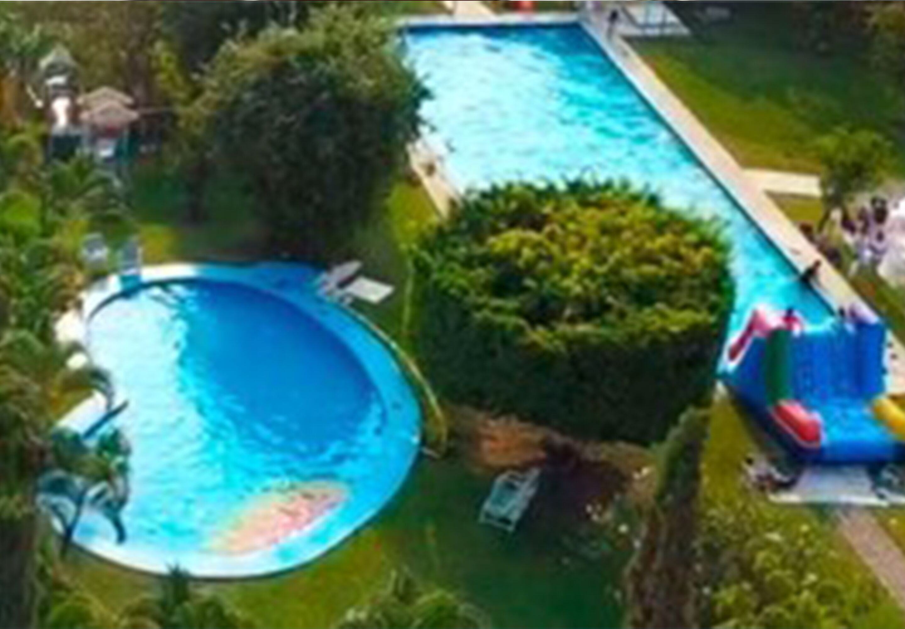 Una piscina rodeada de abundante vegetación y un tobogán.