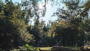 A tranquil outdoor setting with a clear water body reflecting surrounding trees and a stone structure. - Hotel Quinta Moctezuma (Yautepec)