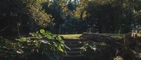 A tranquil outdoor setting with a clear water body reflecting surrounding trees and a stone structure.