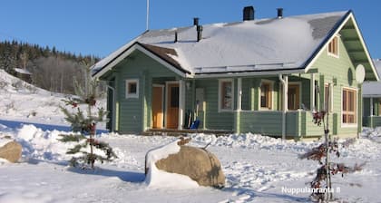 Nuppulanranta cottage by lake