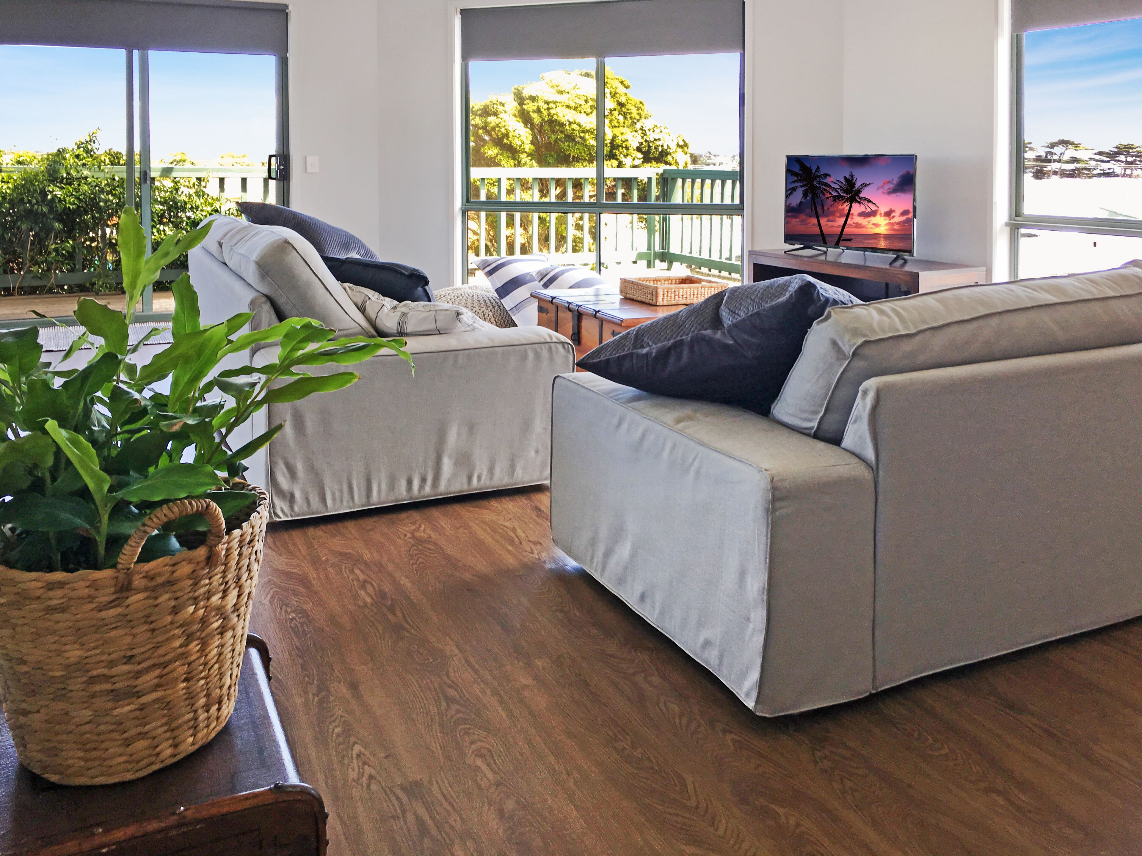 Smart TV, DVD player, books, video library