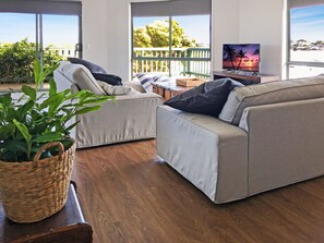 Smart TV, DVD player, books, video library