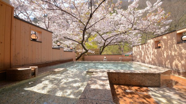 A traditional Japanese onsen with a wooden interior, stone benches, and cherry blossoms in the background.