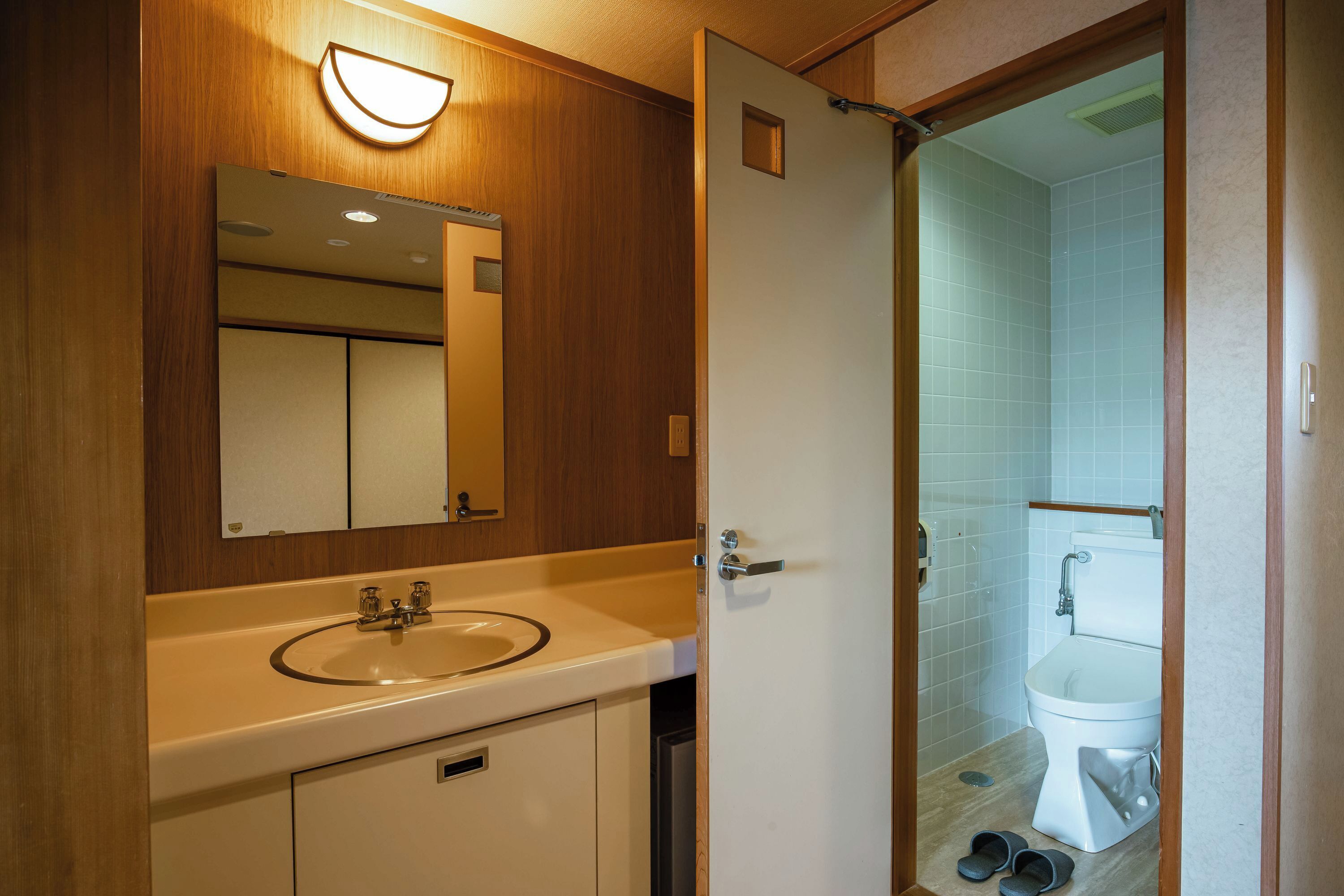A bathroom with a sink, mirror, and toilet.