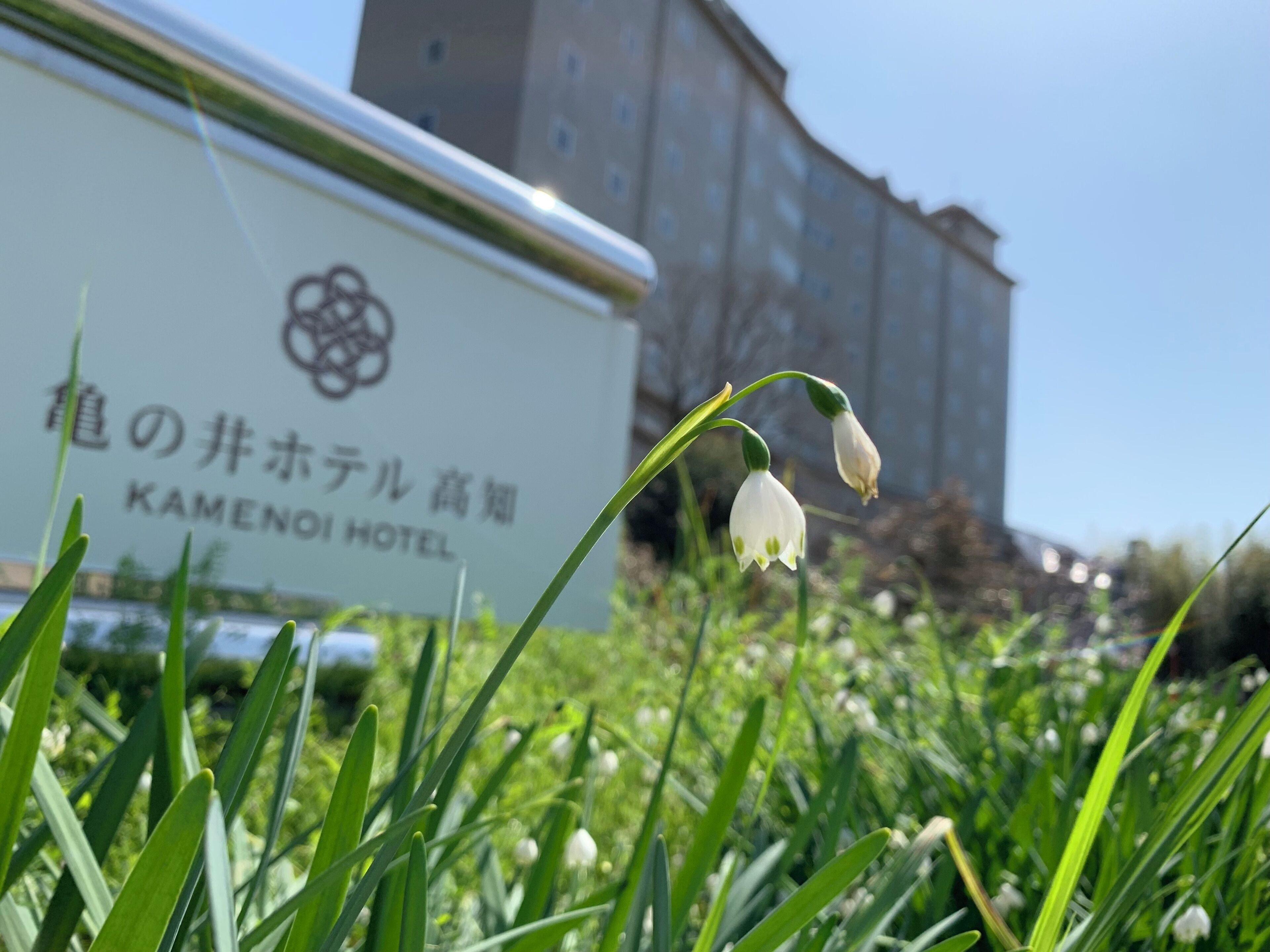 A sign for Kamenoi Hotel with a building in the background.