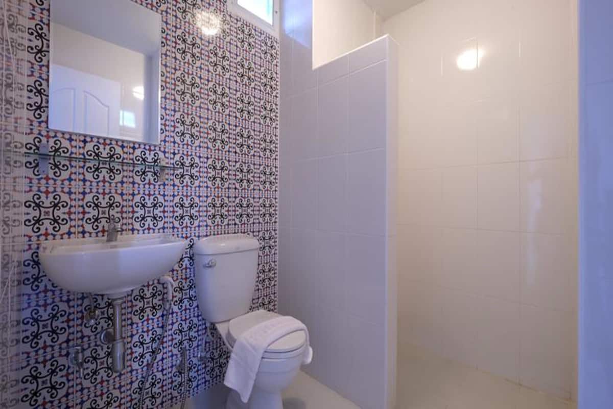 shower, free toiletries, hair dryer, towels