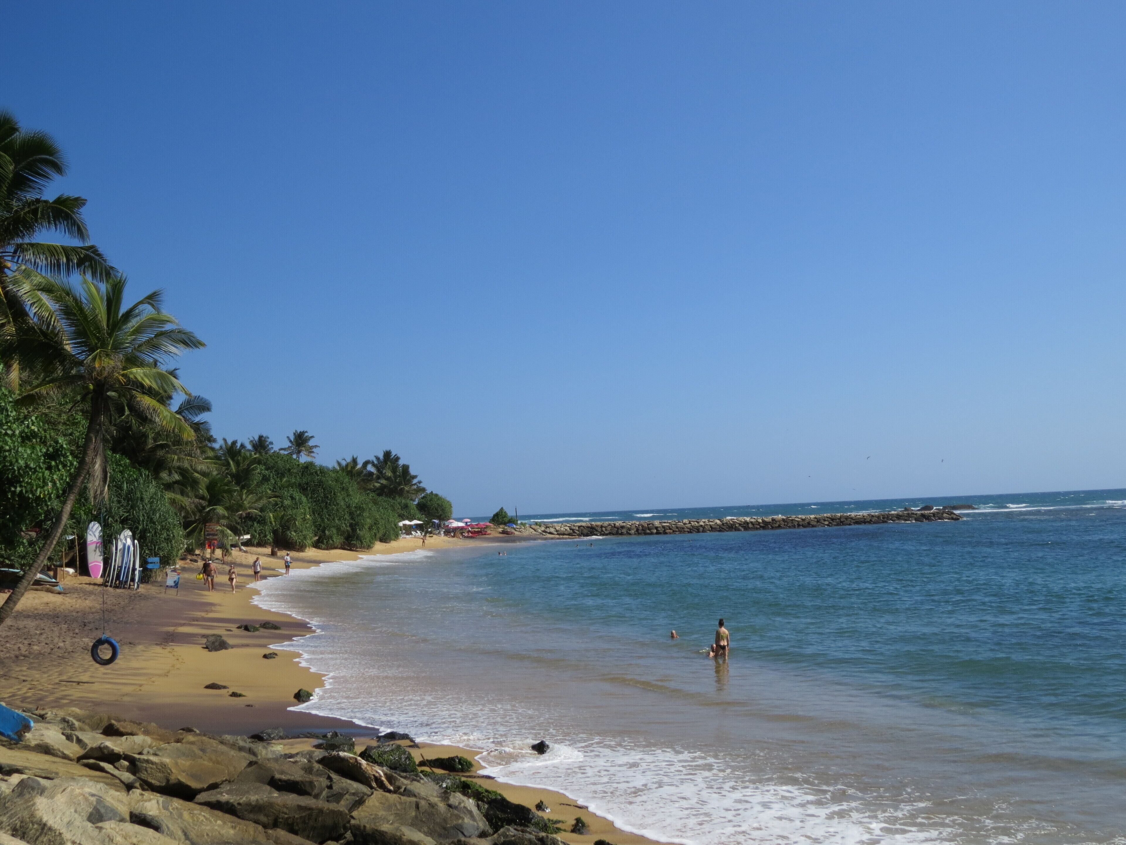 A beach with palm trees, a rocky shoreline, and a clear blue sky.