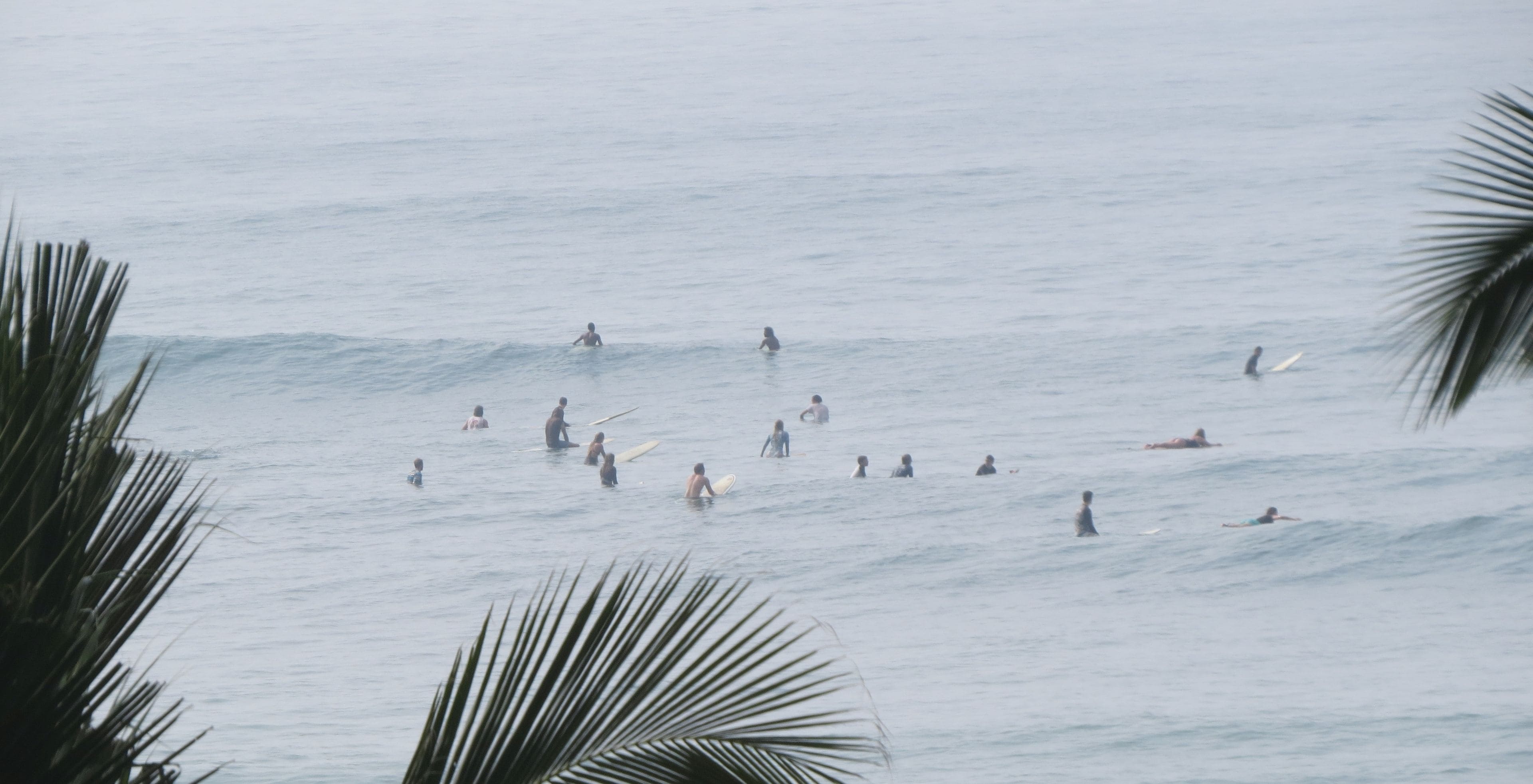 Une scène de plage où l’on voit des gens faire de la planche à voile et nager dans l’eau. Des palmiers sont visibles au premier plan.