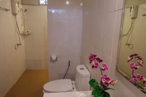 Regadera, amenidades de baño gratuitas, toallas 